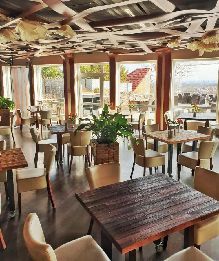דרזדן Bergwirtschaft Wilder Mann Hotel Und Restaurant מראה חיצוני תמונה